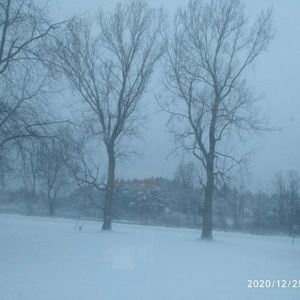 Meet your Posher, Siobhan